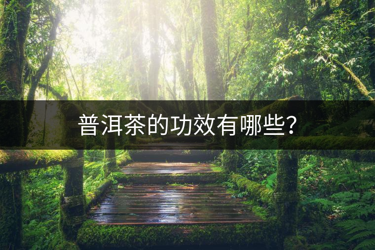 普洱茶的功效有哪些？