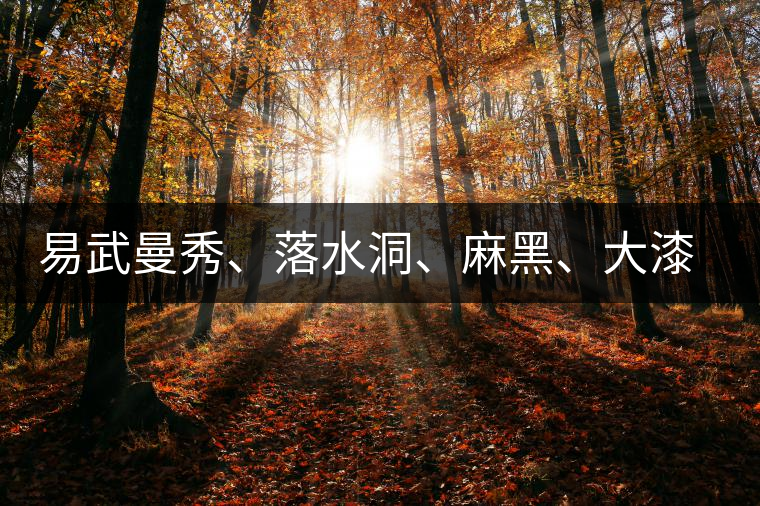 易武曼秀、落水洞、麻黑、大漆樹(shù)等你更喜歡哪個(gè)茶？