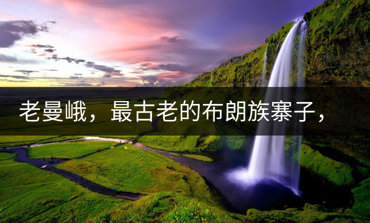 老曼峨，最古老的布朗族寨子，最極端的普洱茶