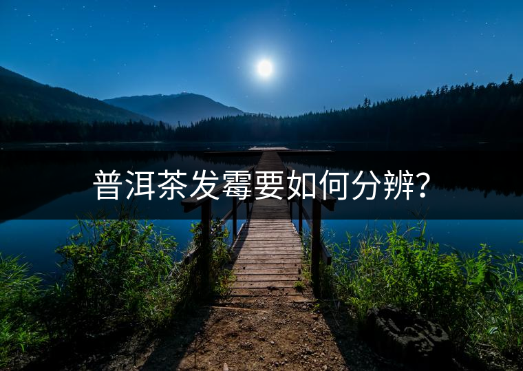 普洱茶發(fā)霉要如何分辨？