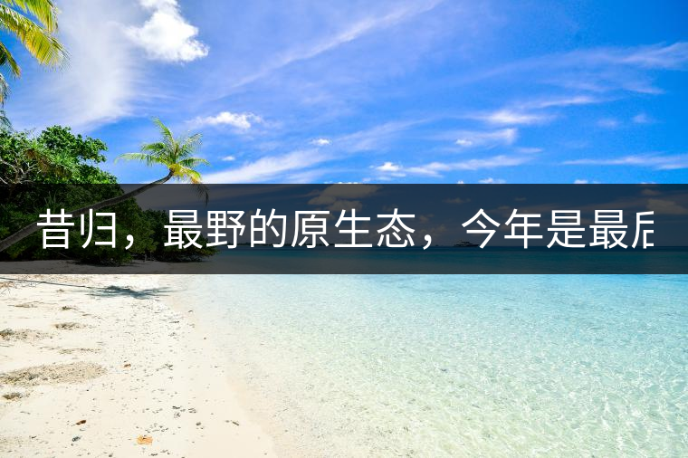 昔歸，最野的原生態(tài)，今年是最后一年了！