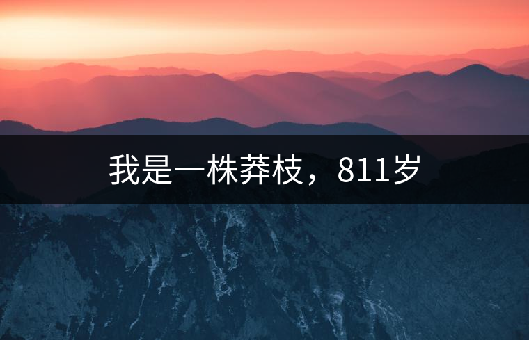 我是一株莽枝，811歲