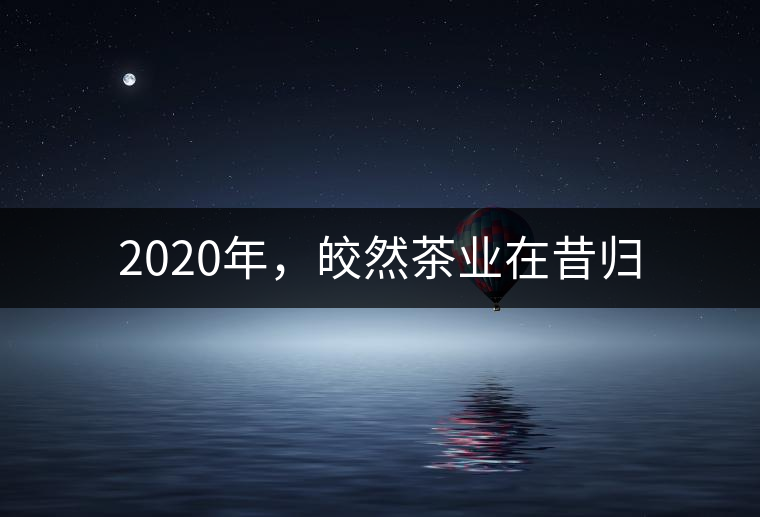 2020年，皎然茶業(yè)在昔歸