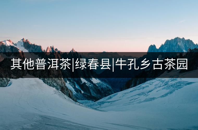 其他普洱茶|綠春縣|?？奏l(xiāng)古茶園