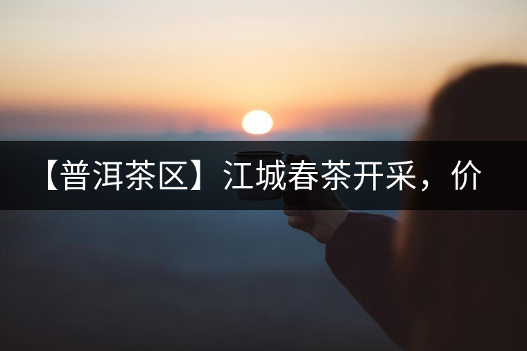 【普洱茶區(qū)】江城春茶開采，價(jià)格漲幅小