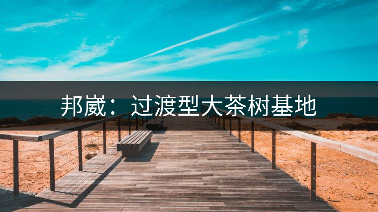 邦崴：過(guò)渡型大茶樹基地