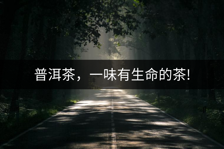 普洱茶，一味有生命的茶!