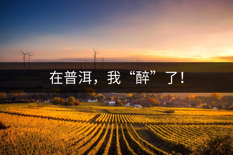 在普洱，我“醉”了！