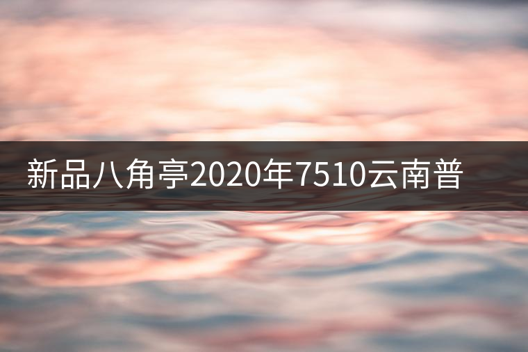 新品八角亭2020年7510云南普洱生茶葉餅357g百年老樹(shù)布朗頭春 新品八角亭2020年7510云南普洱生茶葉餅357g百年老樹(shù)布朗頭春