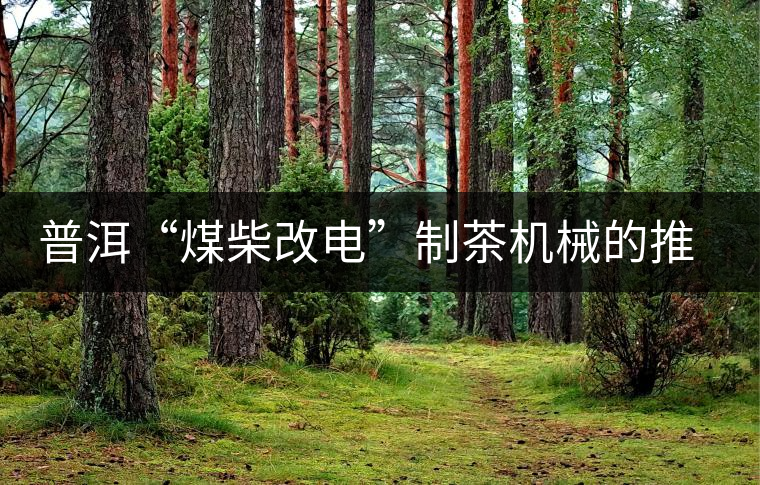 普洱“煤柴改電”制茶機械的推廣者