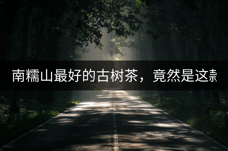 南糯山最好的古樹茶，竟然是這款！