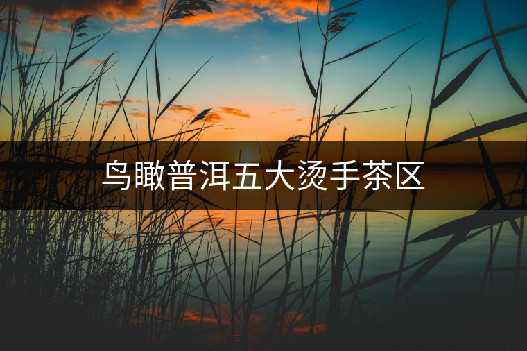 鳥(niǎo)瞰普洱五大燙手茶區(qū)