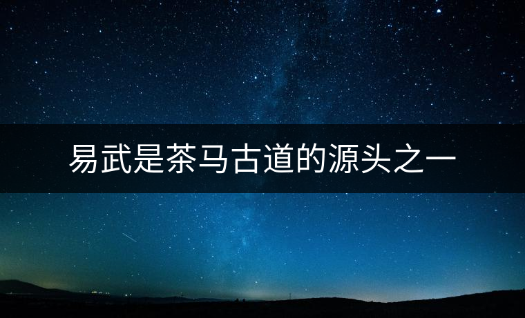 易武是茶馬古道的源頭之一 易武是茶馬古道的源頭之一