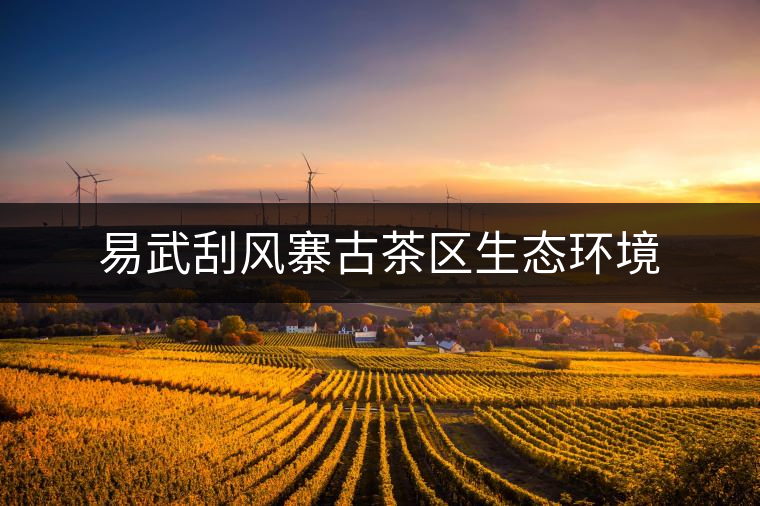 易武刮風寨古茶區(qū)生態(tài)環(huán)境