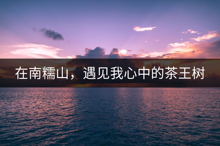 在南糯山，遇見(jiàn)我心中的茶王樹(shù)