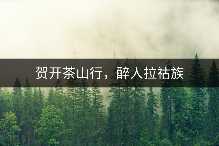 賀開茶山行，醉人拉祜族