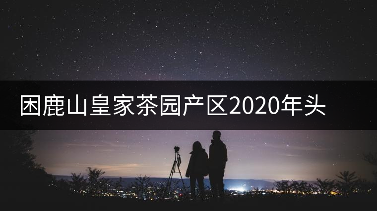 困鹿山皇家茶園產(chǎn)區(qū)2020年頭春古樹，白花林口感特點