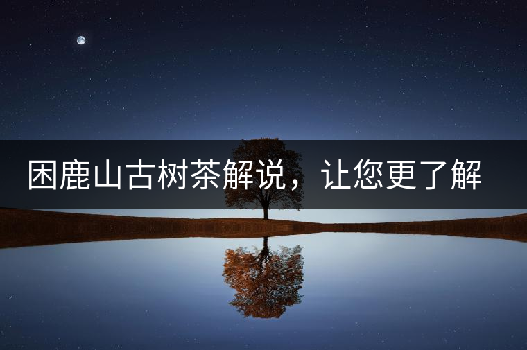 困鹿山古樹茶解說，讓您更了解古樹貢茶