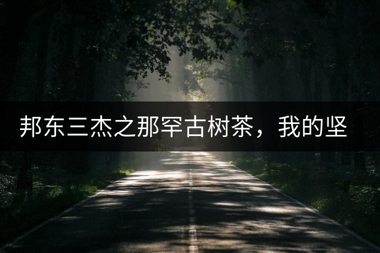 邦東三杰之那罕古樹茶，我的堅(jiān)持