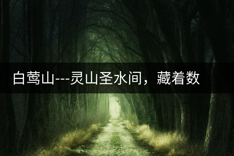 白鶯山---靈山圣水間，藏著數(shù)不盡的佛茶佳話