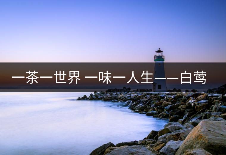 一茶一世界 一味一人生——白鶯山禪茶特點(diǎn) 一茶一世界 一味一人生——白鶯山禪茶特點(diǎn)