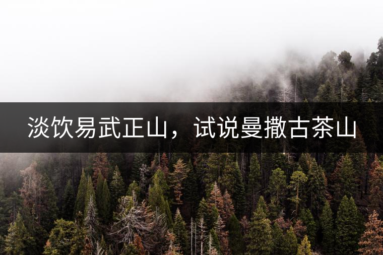 淡飲易武正山，試說曼撒古茶山