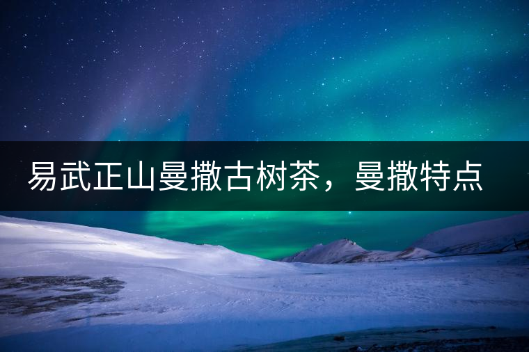 易武正山曼撒古樹茶，曼撒特點分享介紹