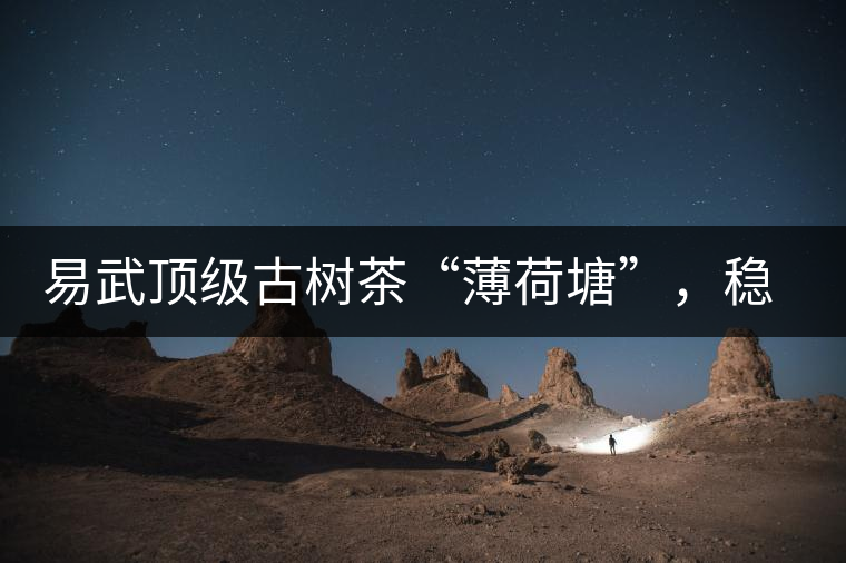 易武頂級古樹茶“薄荷塘”，穩(wěn)坐易武第一把交椅