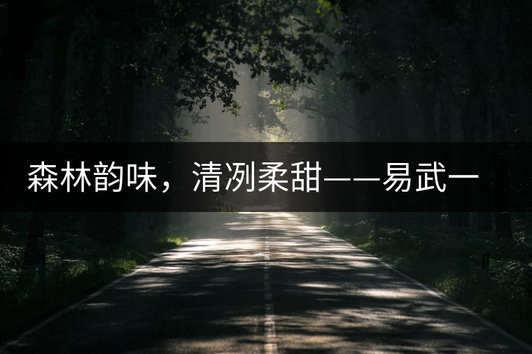 森林韻味，清冽柔甜——易武一扇磨古樹茶特點(diǎn)