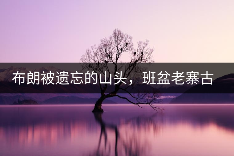 布朗被遺忘的山頭，班盆老寨古茶園介紹