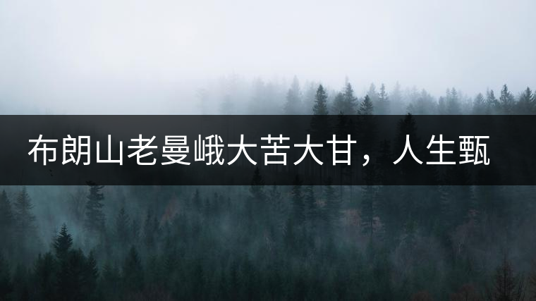 布朗山老曼峨大苦大甘，人生甄味