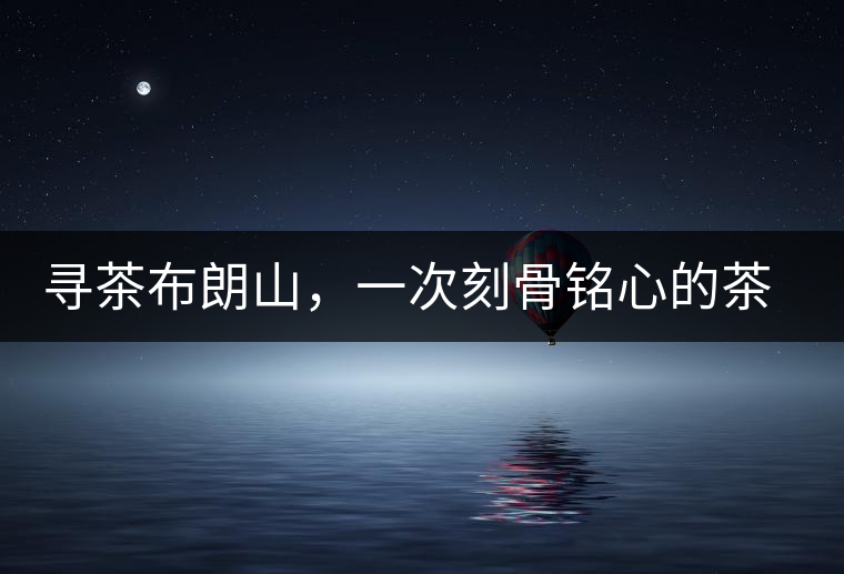 尋茶布朗山，一次刻骨銘心的茶山行