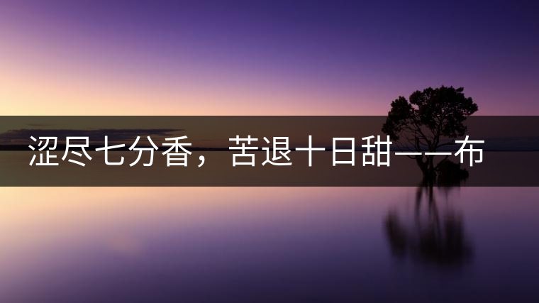 澀盡七分香，苦退十日甜——布朗山千年古寨曼新龍