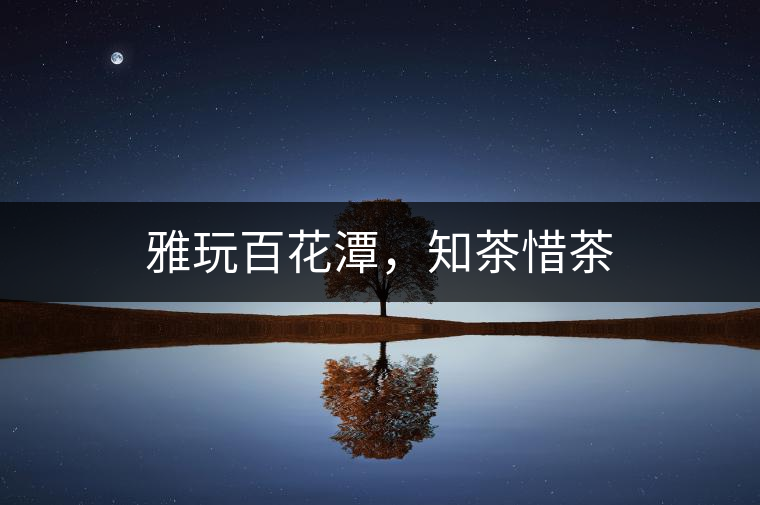 雅玩百花潭，知茶惜茶