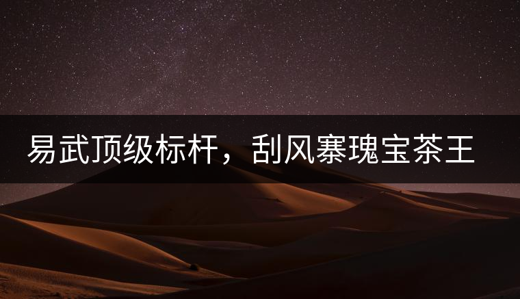 易武頂級(jí)標(biāo)桿，刮風(fēng)寨瑰寶茶王樹(shù)古樹(shù)茶