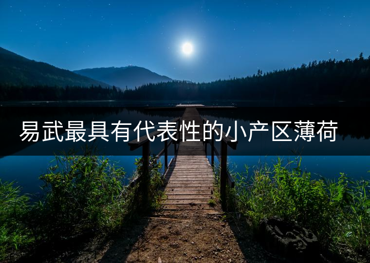 易武最具有代表性的小產(chǎn)區(qū)薄荷塘，一滴都不舍得浪費(fèi)