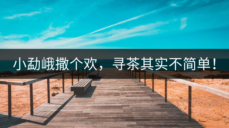 小勐峨撒個(gè)歡，尋茶其實(shí)不簡(jiǎn)單！