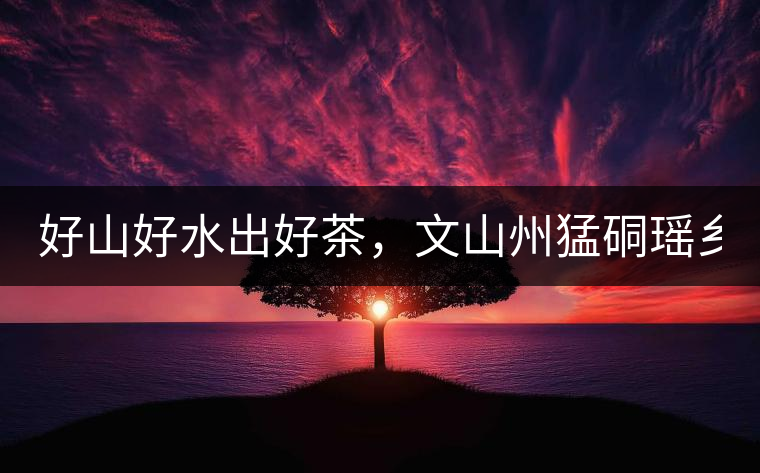 好山好水出好茶，文山州猛硐瑤鄉(xiāng)茶！
