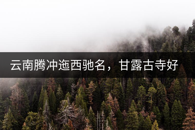 云南騰沖迤西馳名，甘露古寺好茶