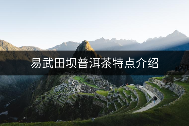 易武田壩普洱茶特點介紹 易武田壩普洱茶特點介紹