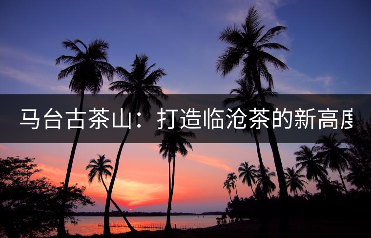 馬臺(tái)古茶山：打造臨滄茶的新高度？