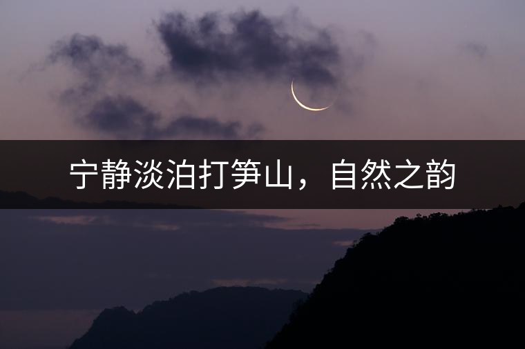 寧靜淡泊打筍山，自然之韻
