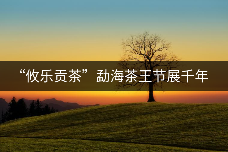 “攸樂貢茶”勐海茶王節(jié)展千年文化魅力