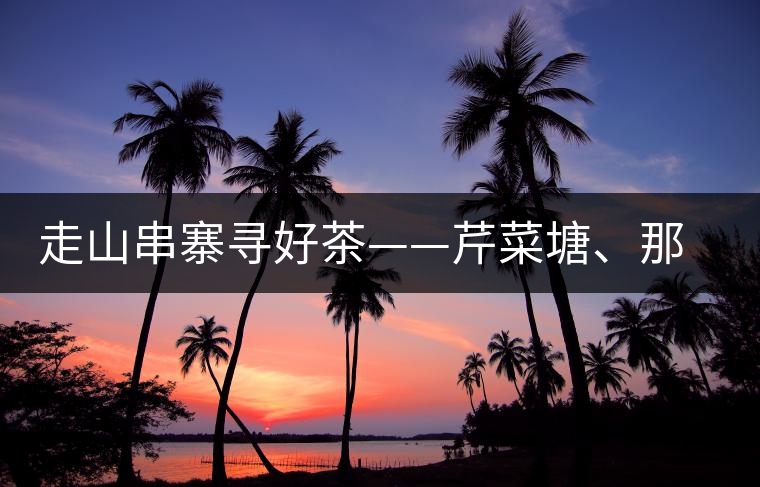 走山串寨尋好茶——芹菜塘、那罕、曼崗、昔歸