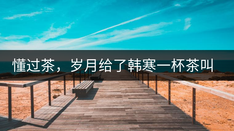 懂過茶，歲月給了韓寒一杯茶叫懂過