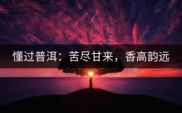 懂過(guò)普洱：苦盡甘來(lái)，香高韻遠(yuǎn)