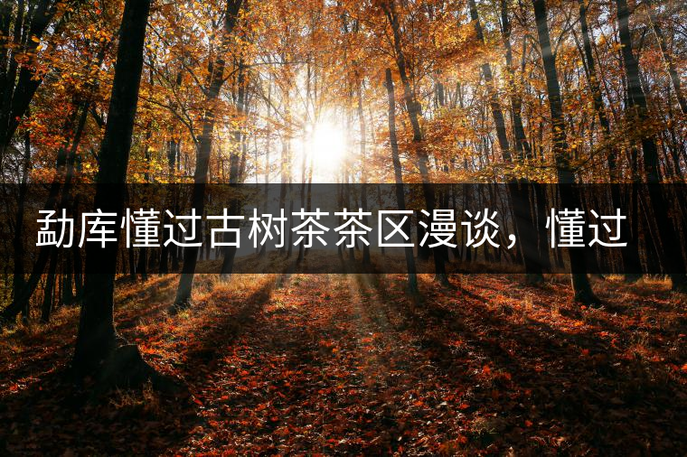 勐庫懂過古樹茶茶區(qū)漫談，懂過古樹茶的特點