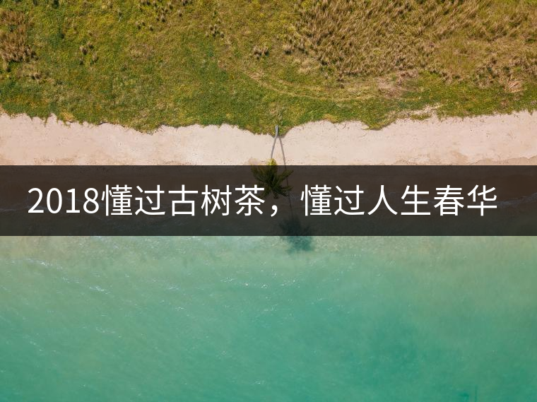 2018懂過(guò)古樹(shù)茶，懂過(guò)人生春華秋實(shí)！