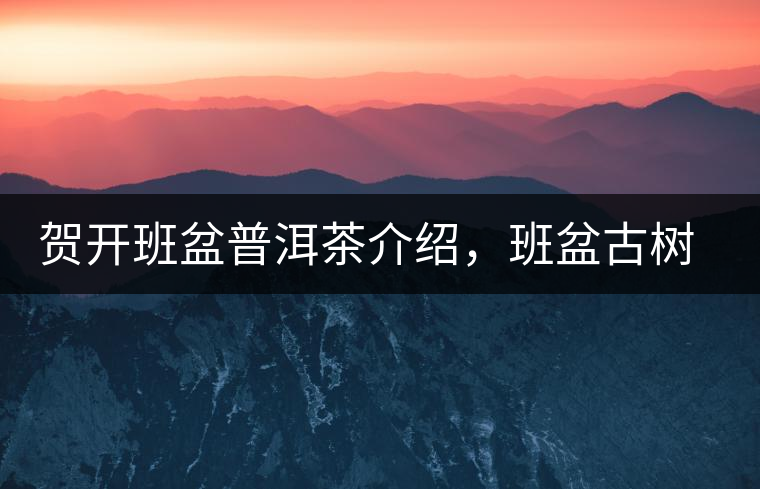 賀開班盆普洱茶介紹，班盆古樹茶口感特點