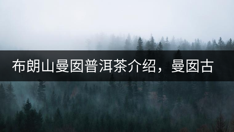 布朗山曼囡普洱茶介紹，曼囡古樹茶口感特點